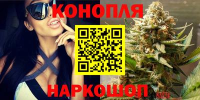 бошки Ставрополь