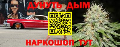 бошки Ставрополь