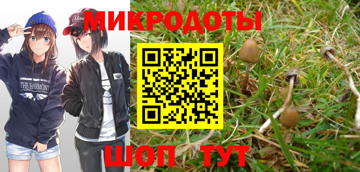 Галлюциногенные грибы Magic Shrooms Можайск