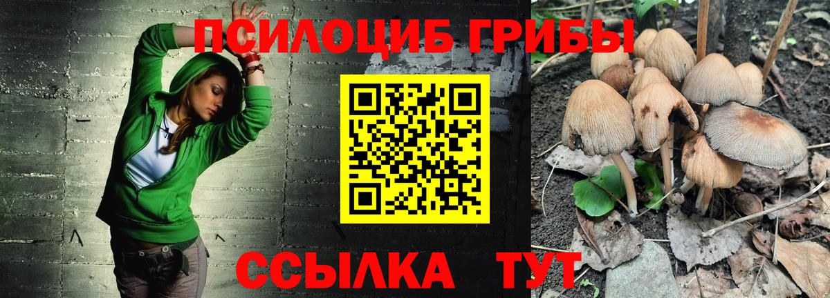 Можайск  Галлюциногенные грибы мицелий  Вход с VPN 
